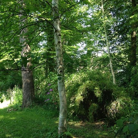 Domaine De Chantemerles Fontainebleau Esterno foto