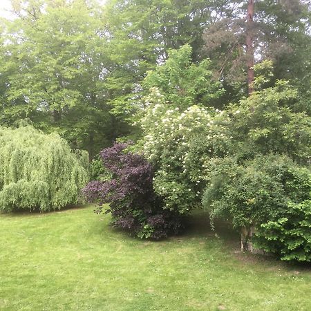 Domaine De Chantemerles Fontainebleau Esterno foto