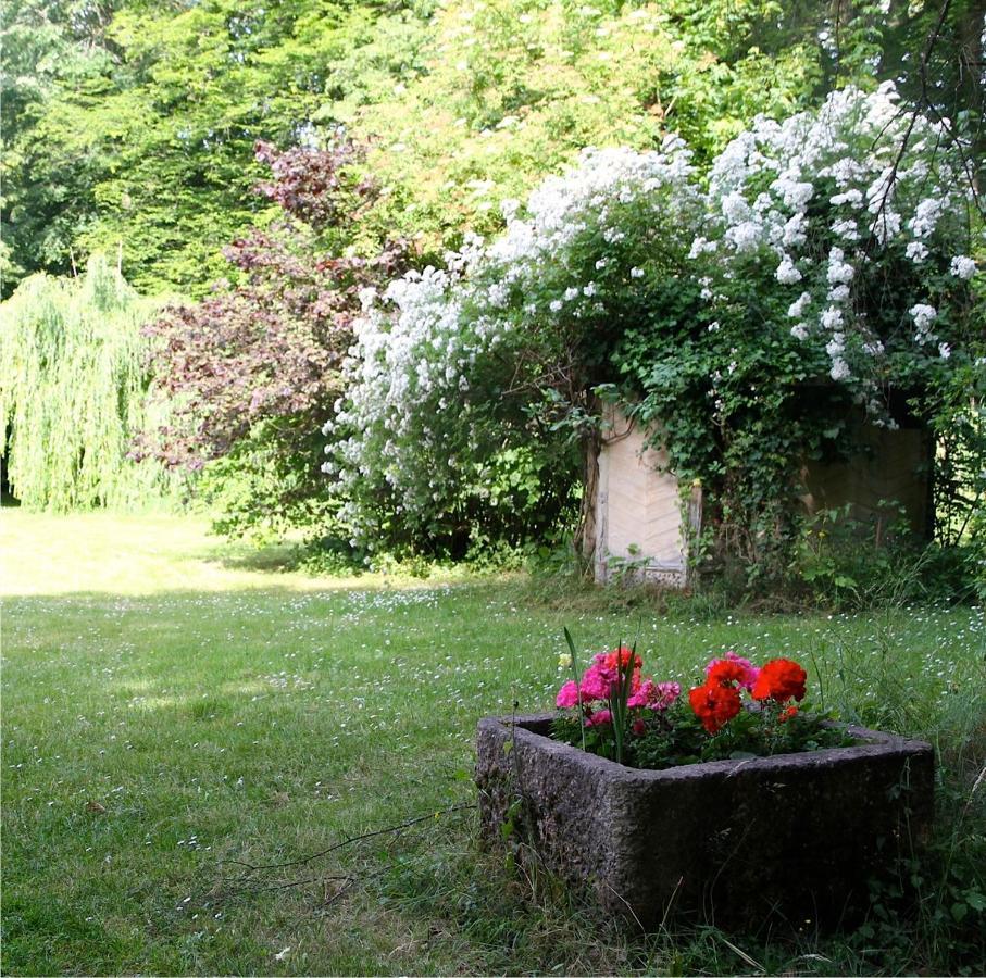 Domaine De Chantemerles Fontainebleau Esterno foto
