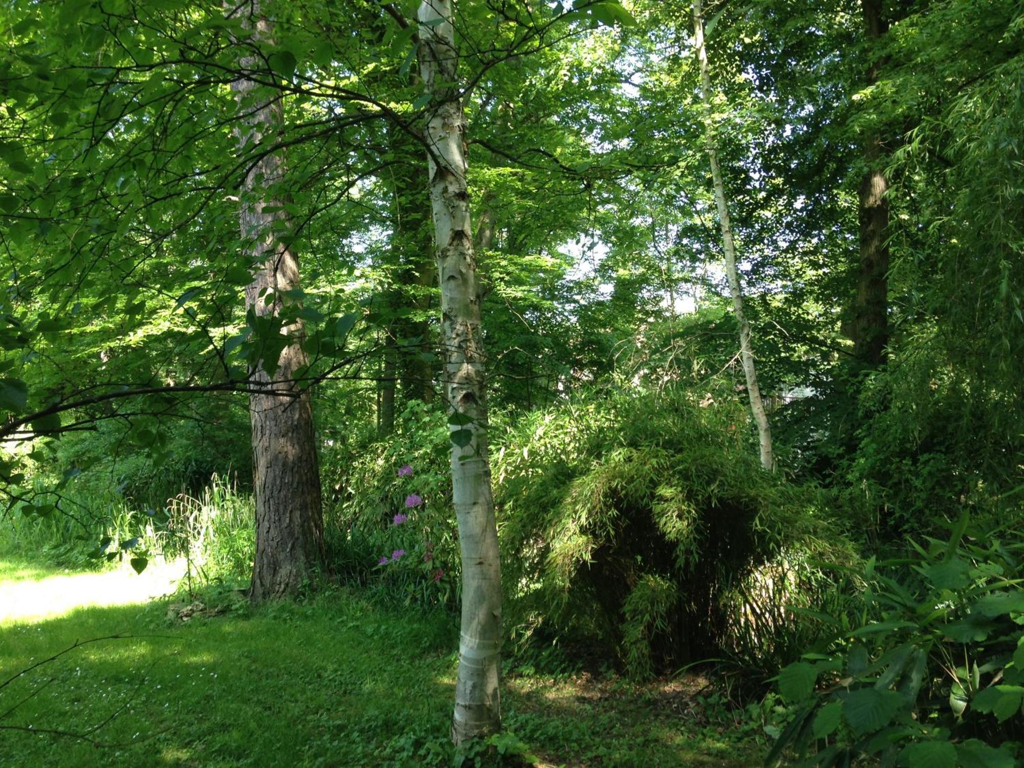 Domaine De Chantemerles Fontainebleau Esterno foto