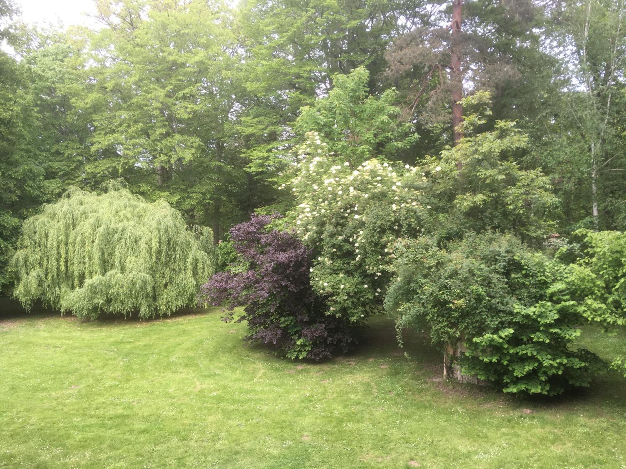 Domaine De Chantemerles Fontainebleau Esterno foto