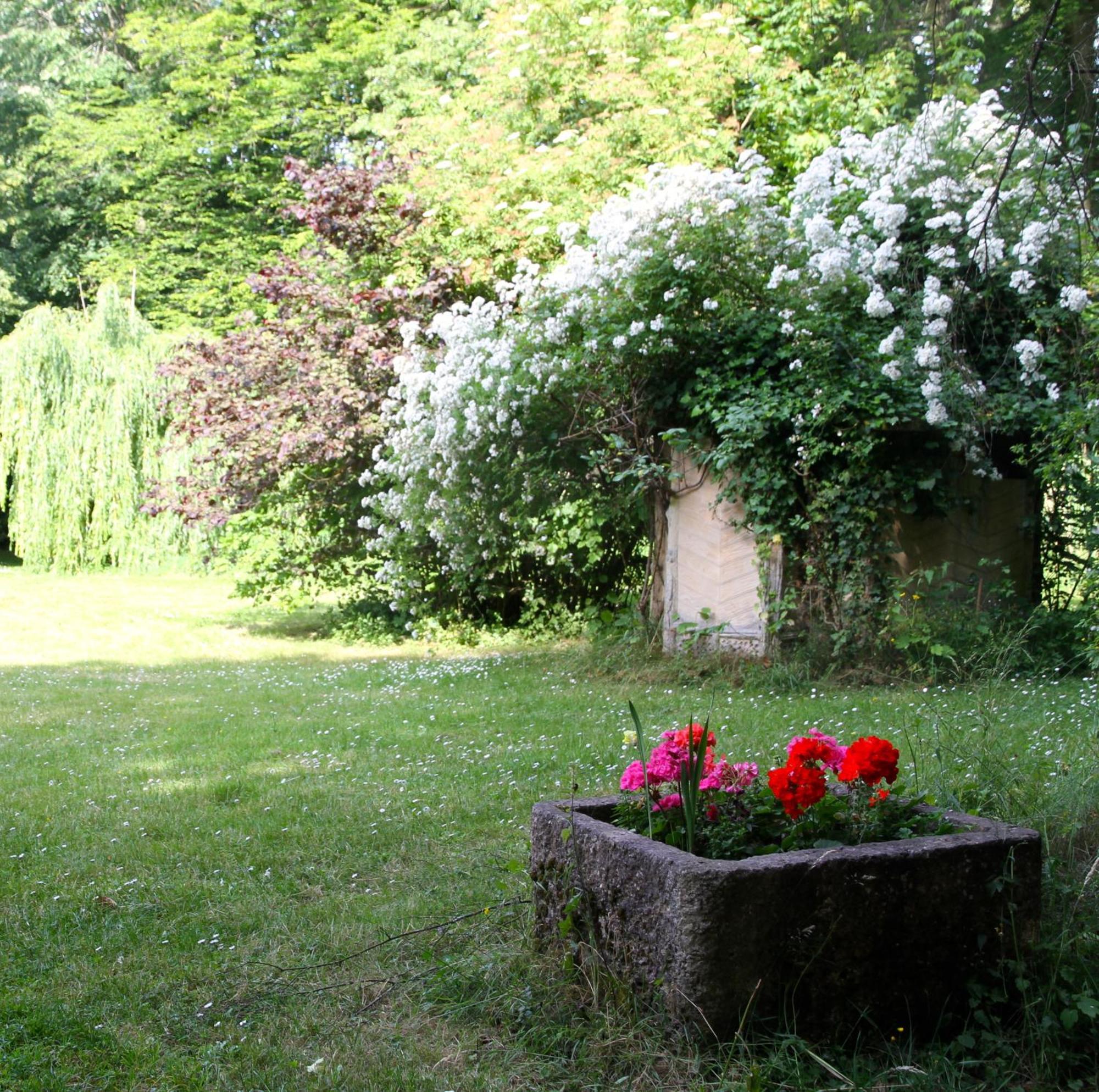 Domaine De Chantemerles Fontainebleau Esterno foto