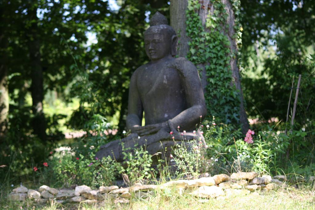 Domaine De Chantemerles Fontainebleau Esterno foto