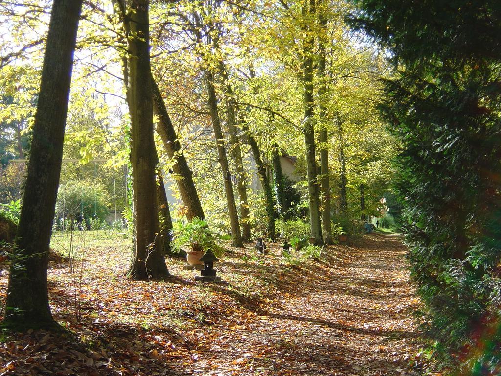 Domaine De Chantemerles Fontainebleau Esterno foto