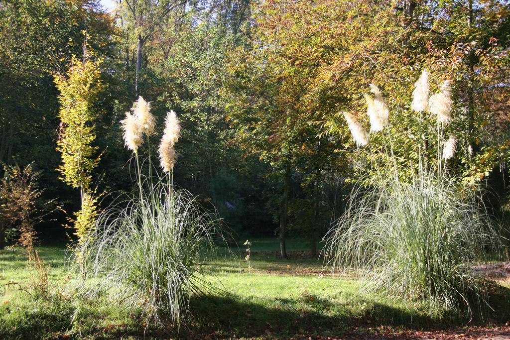 Domaine De Chantemerles Fontainebleau Esterno foto