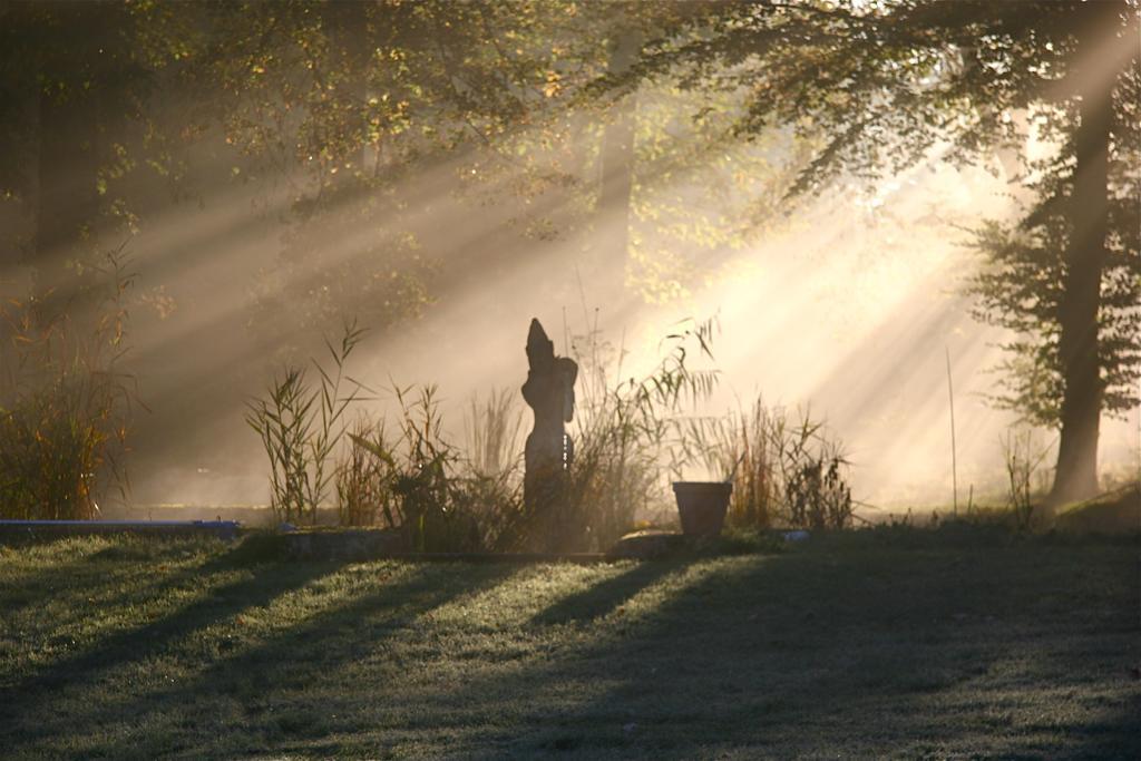 Domaine De Chantemerles Fontainebleau Esterno foto