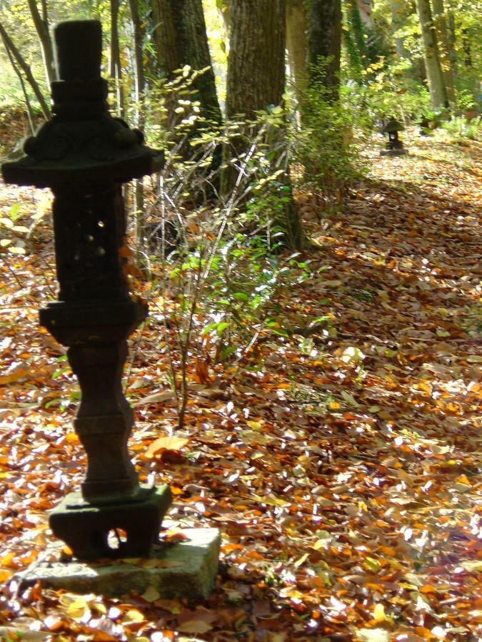 Domaine De Chantemerles Fontainebleau Esterno foto