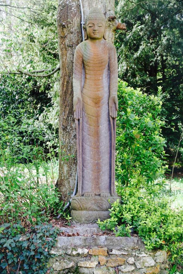 Domaine De Chantemerles Fontainebleau Esterno foto